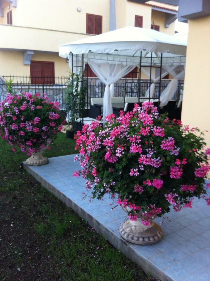 Villa Dei Cedri Scalea Kültér fotó